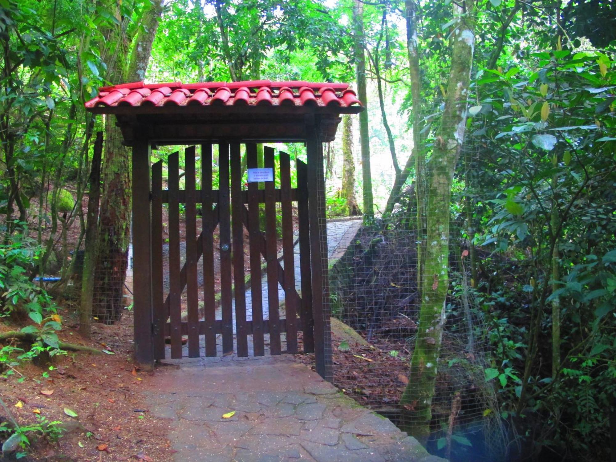 Bangalo Na Acqua Jungle Lodge Vila do Abraao Luaran gambar